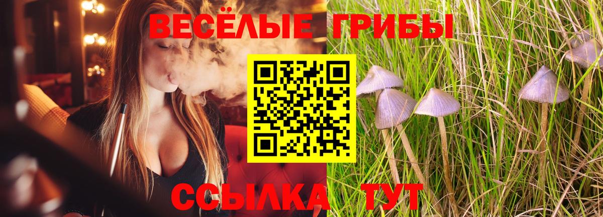 Галлюциногенные грибы мицелий  Вход с VPN  Галлюциногенные грибы прущие грибы  Баксан 