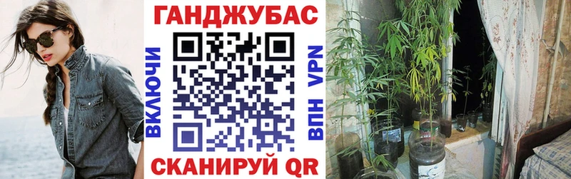 гидра ссылки  Баксан  МАРИХУАНА сатива 